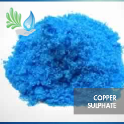 COPPER SULPHATE suppliers